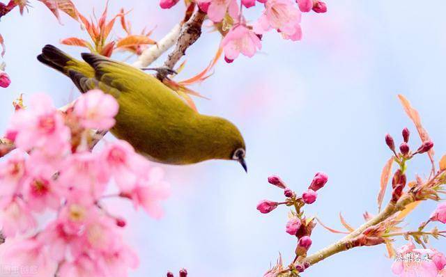 夏天景色的詩句_元稹夏至詩_夏至詩詞