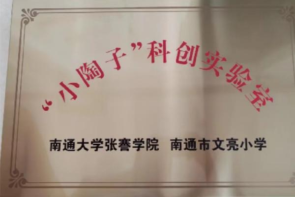 南通市城中小學_文化共生優化內部治理_南通市城中小學集團化辦學