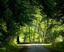 貴州高考一本線多少分（貴州省一本線多少分2023年）