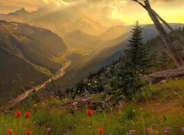 連云港教育招生考試信息網（2023年4月江蘇連云港自考成績查詢入口）