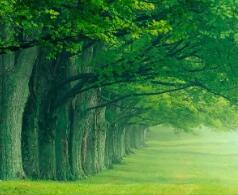 2021湖南高考文科分數線（2021年湖南本科分數線）