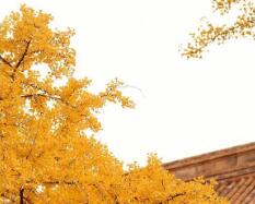 高中英語口語考試有什么用（高考英語口語有必要考嗎）