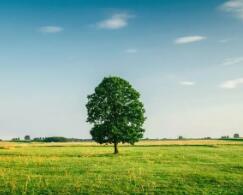 專升本成績怎么算總分（河北專升本成績計算方法）